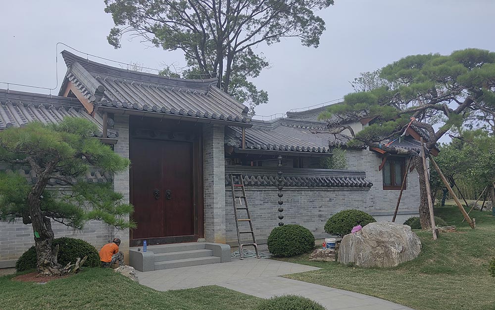 聚鑫汇 6d299